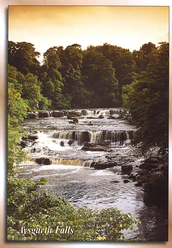 Aysgarth Falls postcards